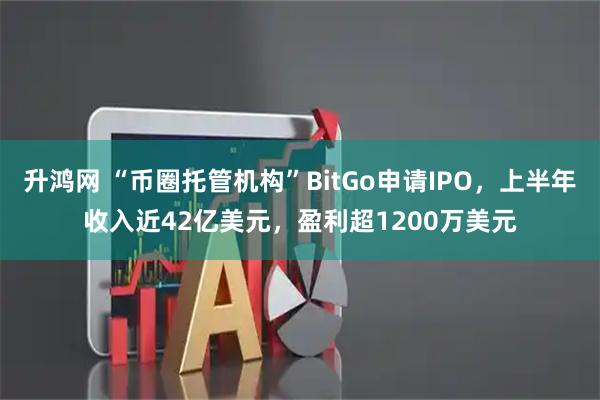 升鸿网 “币圈托管机构”BitGo申请IPO，上半年收入近42亿美元，盈利超1200万美元