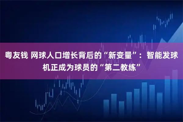 粤友钱 网球人口增长背后的“新变量”：智能发球机正成为球员的“第二教练”